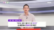 [KOREAN] Korean spelling - 파이다/나쁘다, 우리말 나들이 240228