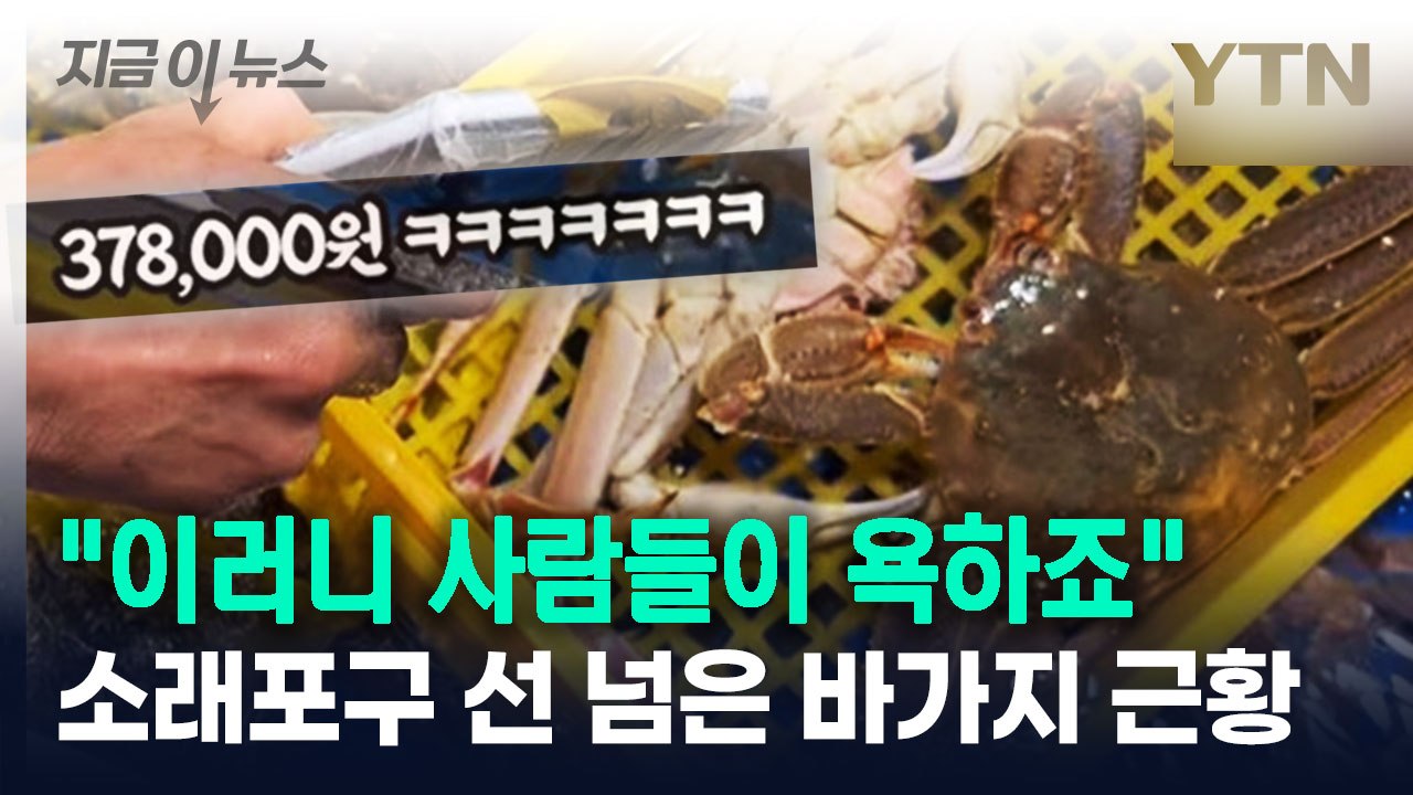 "이러니 욕하죠"...소래포구 선 넘은 바가지요금 '폭로' [지금이뉴스] / YTN