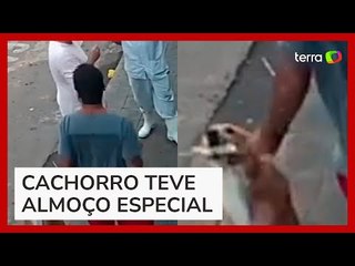 Homem se distrai e tem espetinho 'furtado' por cachorro caramelo em MG