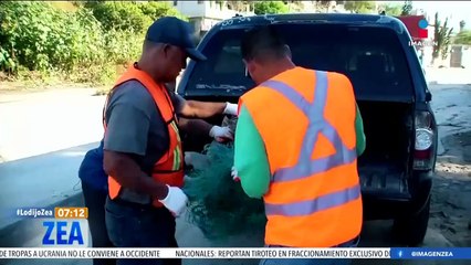 Pesca ilegal de totoaba, una amenaza para la supervivencia de la especie