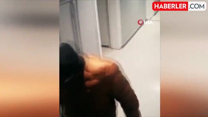 Ağaca çıkan maymun değil hırsız... Çıktığı ağaçta polise el salladı
