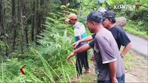 Mobil Berpenumpang 5 Orang Terjun ke Jurang