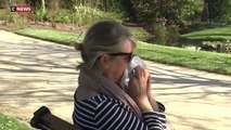 Allergies au pollen : 36 départements en alerte