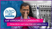 Lok Sabha Polls: AAP Announces Four Candidates From Delhi And One From Haryana