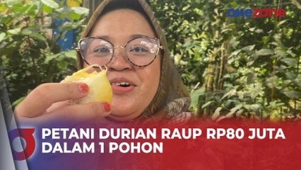 Unik, 1 Pohon Durian di Banjarnegara Mampu Hasilkan 20 Macam Jenis Durian Super