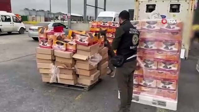 Gümrük Muhafaza ekipleri bir ayda 4 milyar 200 milyon liralık kaçak eşya ve uyuşturucu ele geçirdi