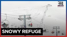Lebanese flock to ski slopes to escape Israel-Hezbollah war fears