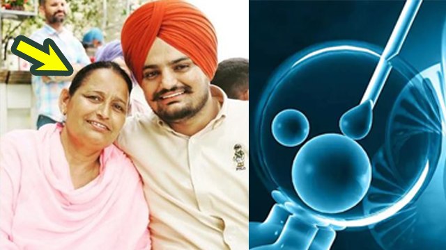 Sidhu Moose Wala Mother 58 Age Pregnant Process Reveal, IVF Technique Kya Hai | IVF Age Limit