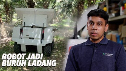 Robot sebagai Buruh Ladang: Solusi Teknologi untuk Tantangan Perubahan Iklim di Malaysia 🌱