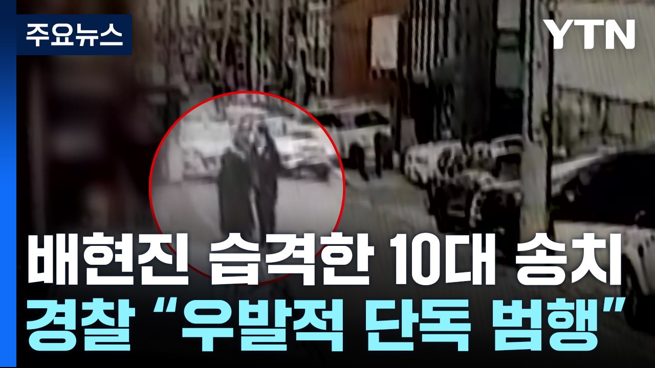 "관심받으려 우발적 범행"...경찰, '배현진 습격범' 송치 / YTN