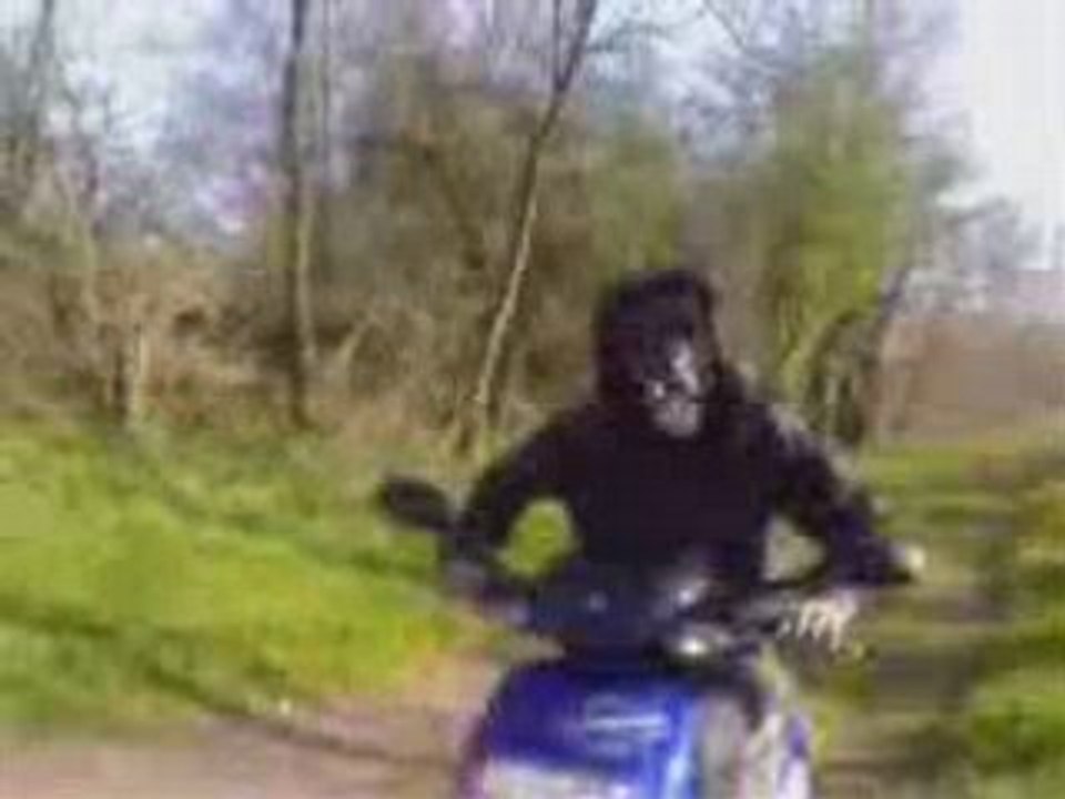 Le retour du loup-garou !!!