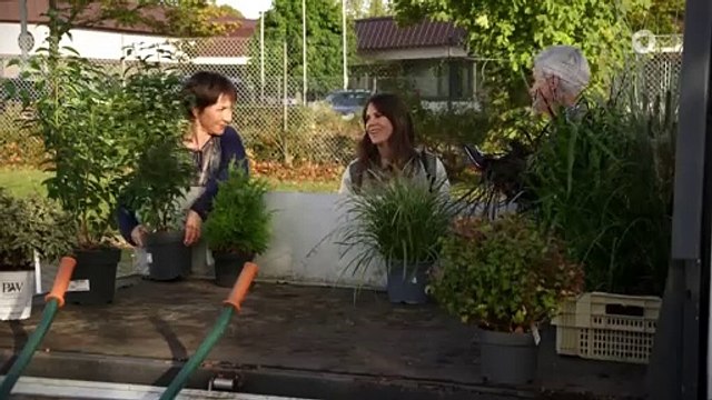 Rote Rosen 3931 folge