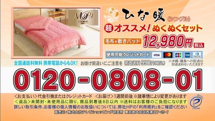 サスペンス名作選 刑事鬼貫八郎１１ 積木の塔