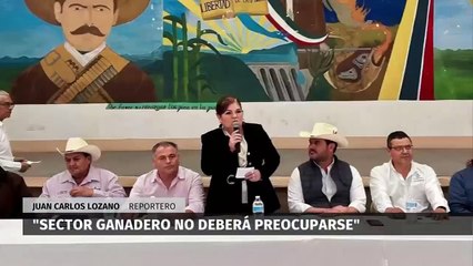 Localizan un cuerpo en el Pico de Orizaba. Magda González, 27 de febrero 2024