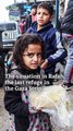 The situation in Rafah, the last refuge in the Gaza Strip