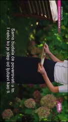 Oteta - Epizoda 4 (S01E04) / TURSKA SERIJA SA PREVODOM