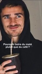 Pourquoi boire du maté plutôt que du café ?
