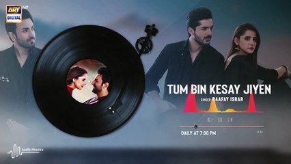 Tum Bin Kesay Jiyen - OST | Audio  | Raafay Israr | ARY Digital