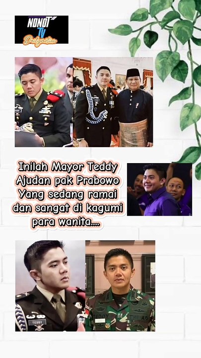 mayor tedy