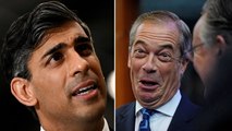 Sunak refuses to confirm if he would welcome Nigel Farage to Tory party