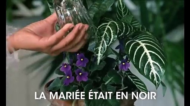 L'Homme qui aimait les femmes (Version restaurée) (1977) - Bande annonce