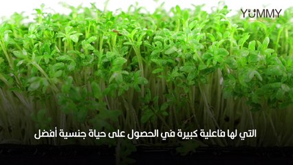 للرجال فقط...تعرف على فوائد الجرجير