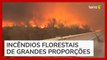 Bombeiros dirigem em 'estrada de fogo' em combate a incêndios florestais no Texas