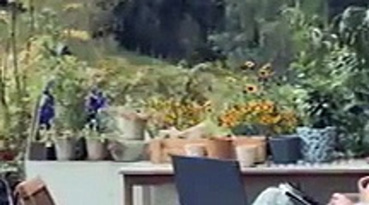 Der Bergdoktor Staffel 16 Folge 5 Im Netz