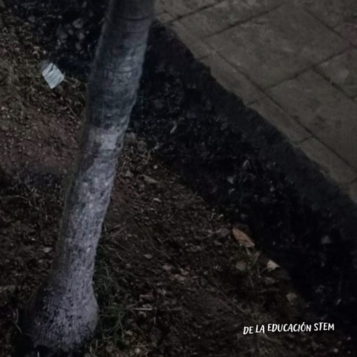 -Jacobo Shemaria Capuano- La educación STEM: (Parte 2) (Creado por @JacoboShemariaCapuano)