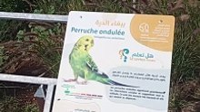 Adorable oiseaux de Rabat  #ZooRabat #AnimauxSauvages #ExplorationAnimale #Biodiversité #FauneMarocaine #SafariUrbain #RencontreAnimale #AventureZoologique #DécouverteNaturelle #ZooLife #RabatCity #JournéeAuZoo #AnimauxExotiques #ZooExperience