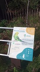 Adorable oiseaux de Rabat  #ZooRabat #AnimauxSauvages #ExplorationAnimale #Biodiversité #FauneMarocaine #SafariUrbain #RencontreAnimale #AventureZoologique #DécouverteNaturelle #ZooLife #RabatCity #JournéeAuZoo #AnimauxExotiques #ZooExperience