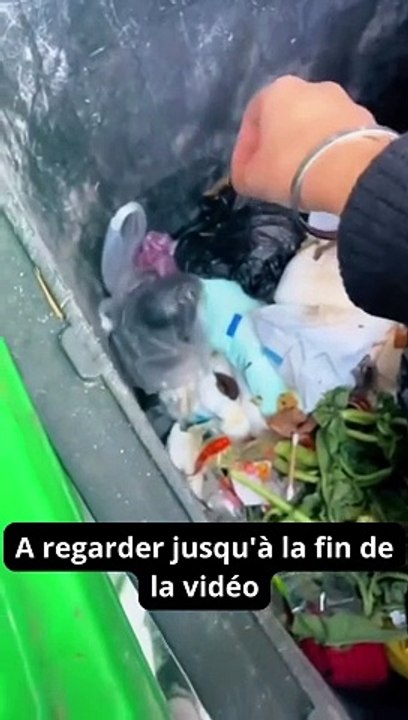 Super vidéo, à regarder jusqu'à la fin