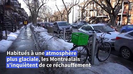 Canada : record de chaleur au cœur de l'hiver à Montréal