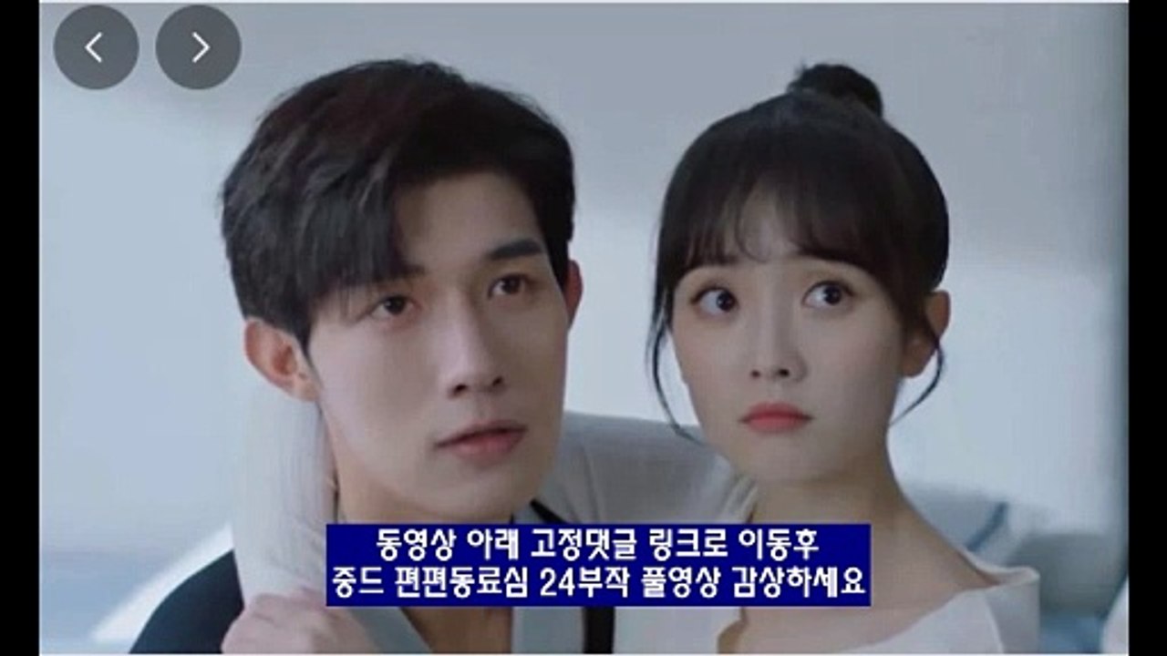 편편동료심 1화-24화 다시 보기 한글자막 2024 보기