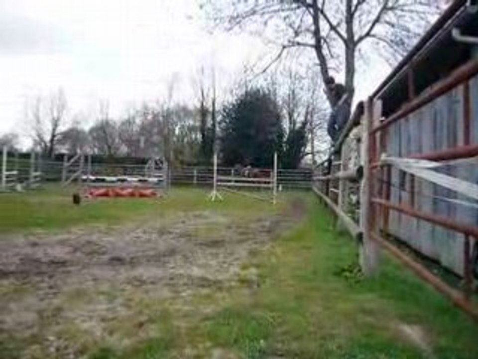 P1030152