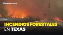 Varios incendios forestales que afectan al norte del estado de Texas