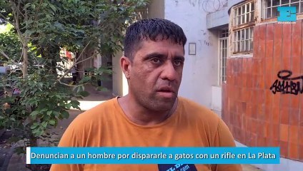 Denuncian a un hombre por dispararle a gatos con un rifle en La Plata
