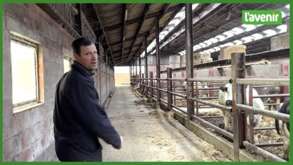 De la boucherie à la ferme, il n'y a que quelques pas