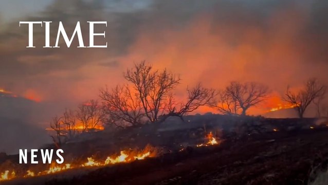State of Disaster Declared as Wildfires Spread In Texas. What to Know