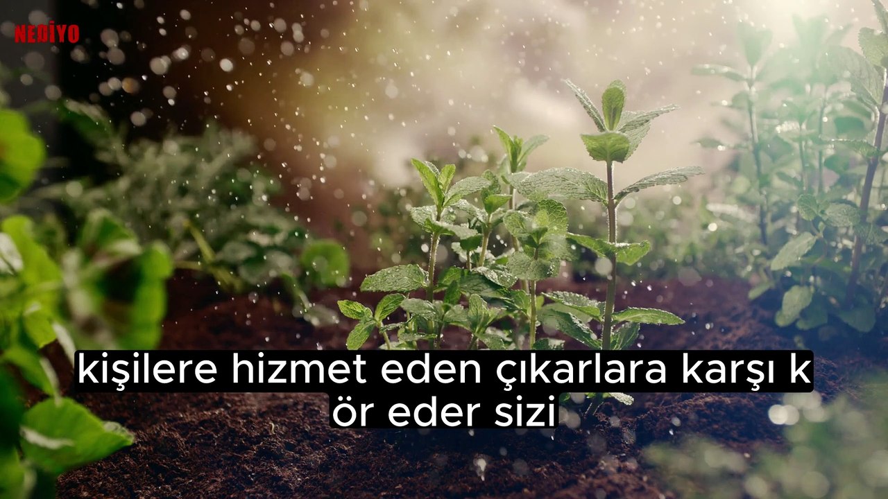 İKTiDAR Güç Sahibi Olmanın 48 Yasası Sesli Kitap #3