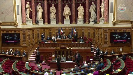 IVG dans la Constitution: suivez les débats au Sénat