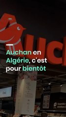Auchan en Algérie, c'est pour bientôt