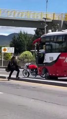 Las impactantes imágenes de una pelea entre un motorista y un chófer de autobús en la vía pública