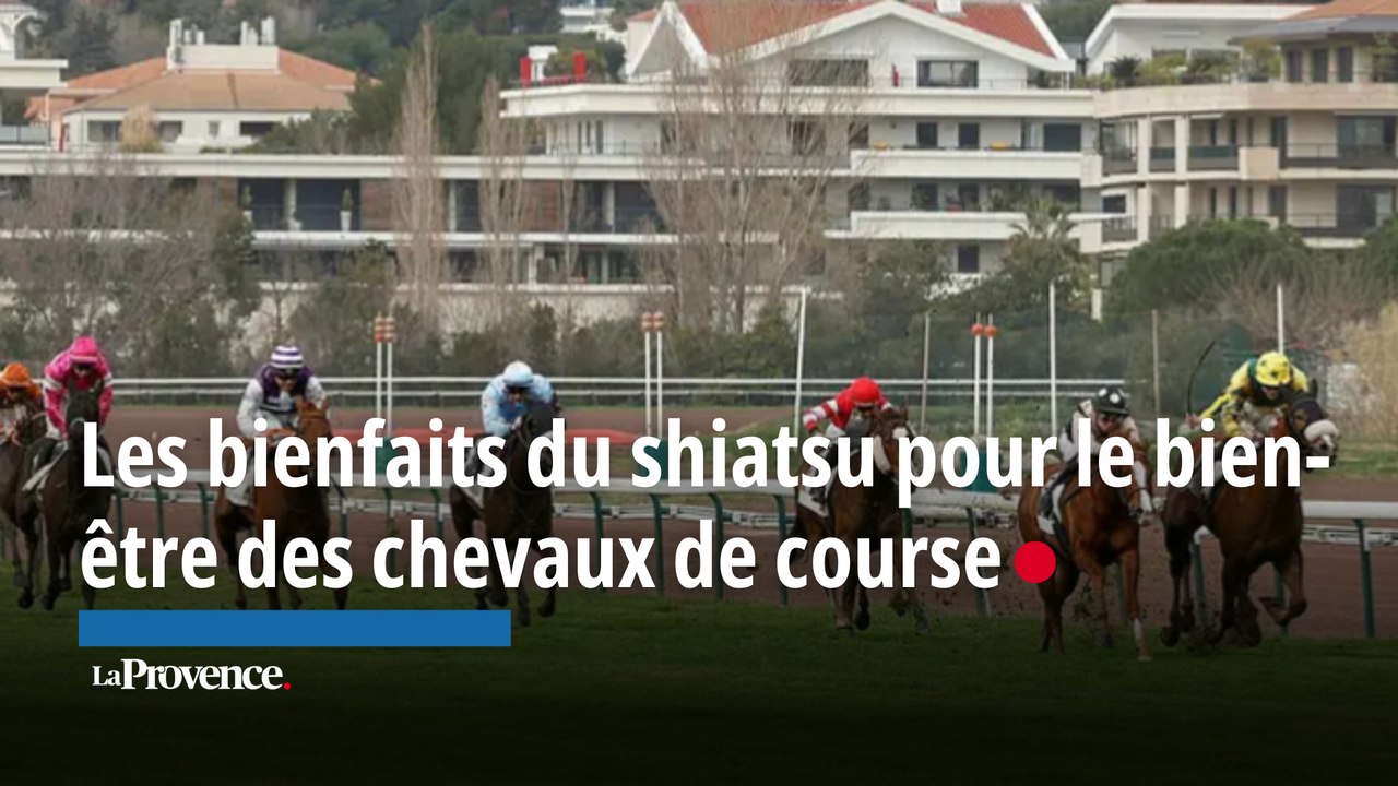 Les bienfaits du shiatsu pour le bien-être des chevaux de course