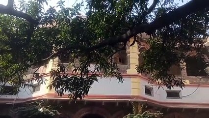 लावारिस की हेल्पलाइन पर दो सूचना, रेस्क्यू करेंगी टीम