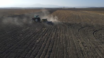 The farming subsidies saga goes on