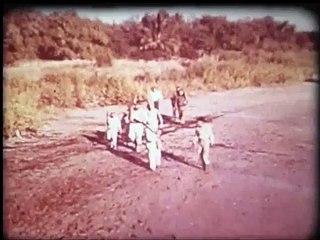 La Forêt interdite Bande-annonce (EN)