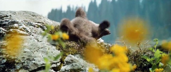 L'Ours (version restaurée) (1988) - Bande annonce