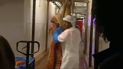 The Bill S20E05 Saving Skin