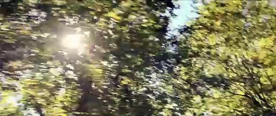 Les plus belles années d'une vie (2019) - Bande annonce